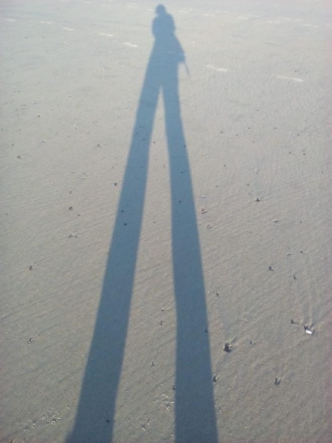 Beach Photograph