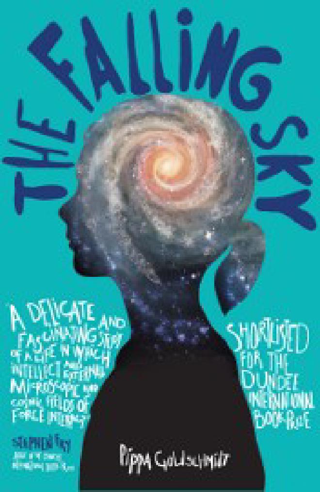 Falling Sky book cover